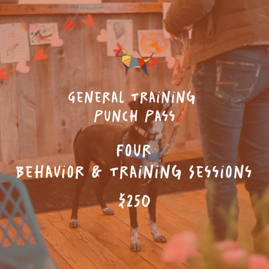 General Training Punch Pass: 4 Behavior & Training Sessions