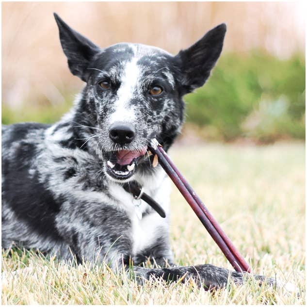 100% Natural Brazilian Bully Sticks - 1 lb Bag