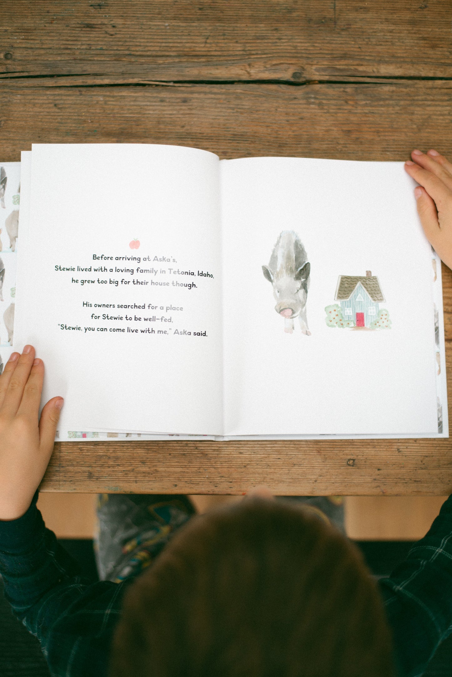 Book #2: Stewie's Story