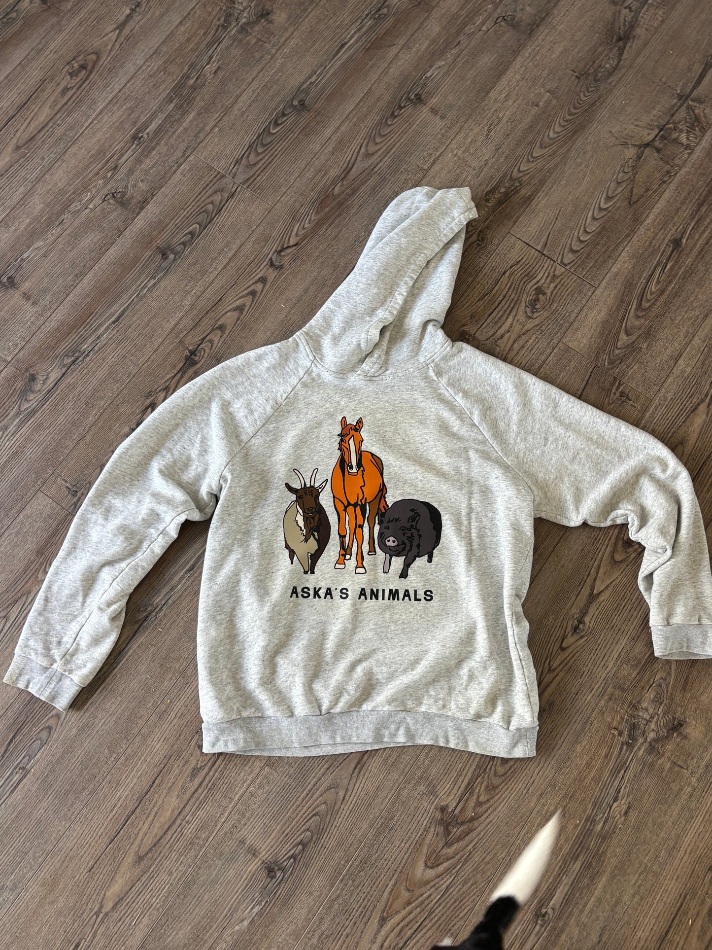 Upcycled Aska's Animals Hoodie